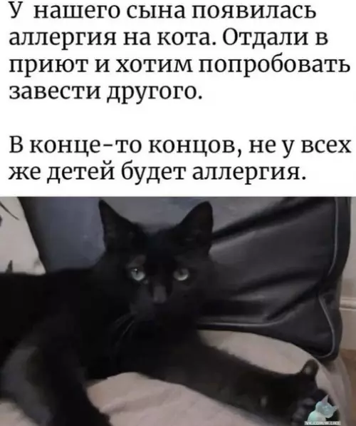 Смешная картинка №430360