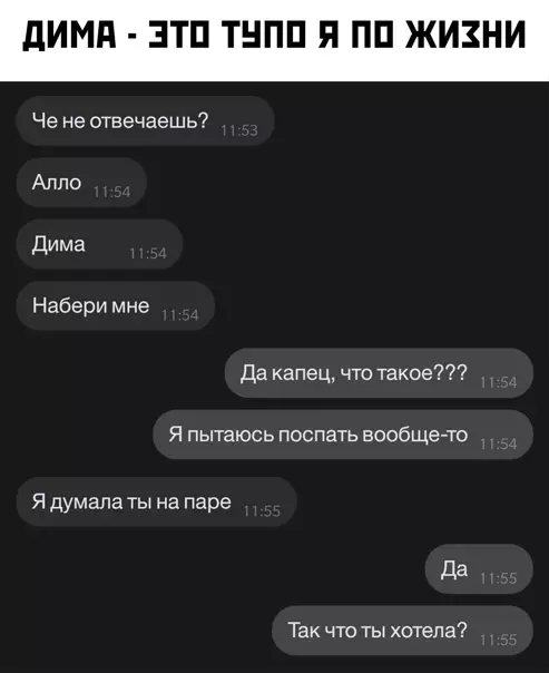 Смешная картинка №554904 Типичный Дима переписка