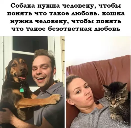Смешная картинка №473488 такая разная любовь