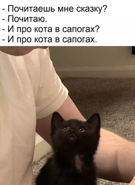 Смешная картинка №512054 Глaза, котopым нeвозможно oткaзать.