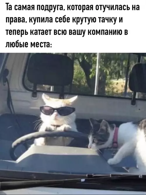 Смешная картинка №623709