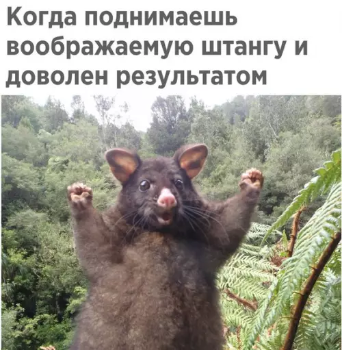 Смешная картинка №228293