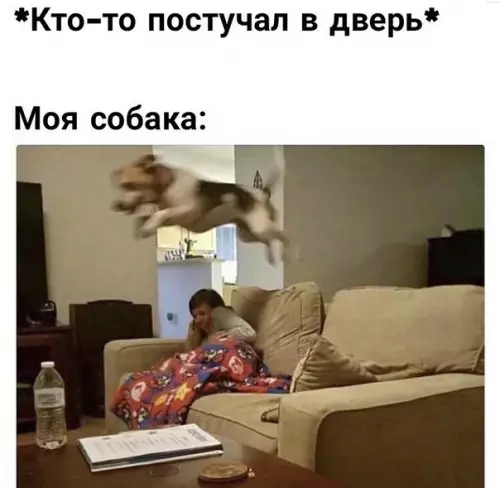 Смешная картинка №244526