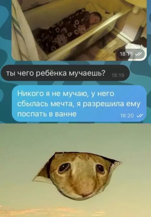 Когда мечта наконец-то сбылась! 🛁😴 - ты чего ребёнка мучаешь? Никого я не мучаю, у него