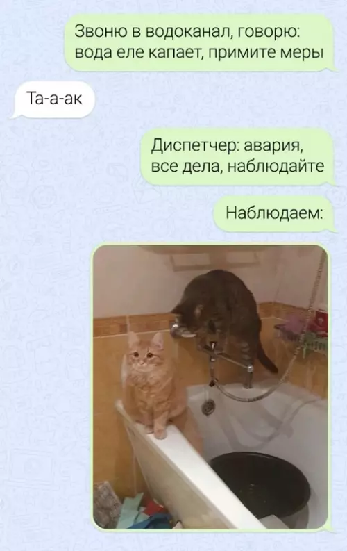 Смешная картинка №685057