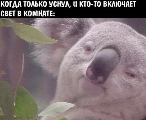 Смешная картинка №546424