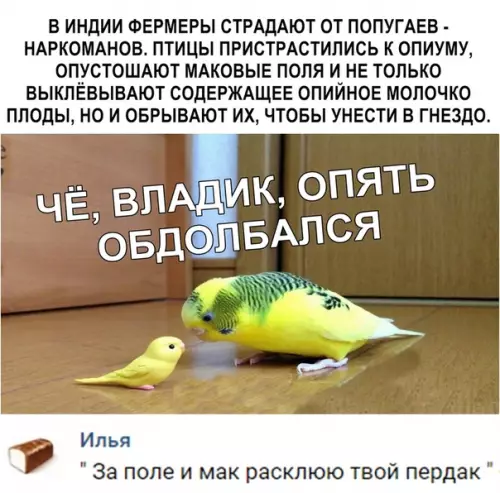Смешная картинка №336687