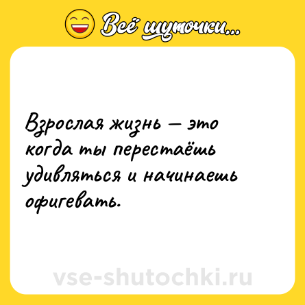 Шутка: Взрослая жизнь — это когда ты перестаёшь удивляться и начинаешь офигевать.