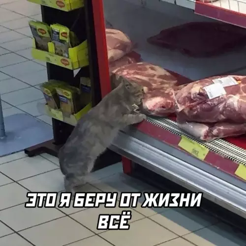 Смешная картинка №582645