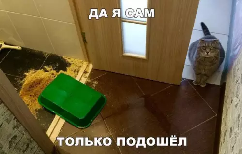 Смешная картинка №276573