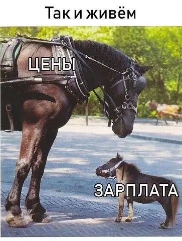 Смешная картинка №384063 .