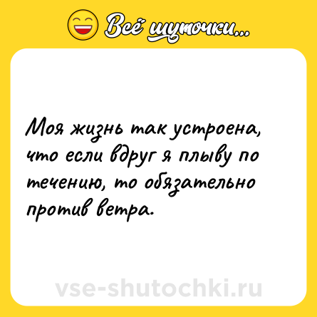Шутка: Моя жизнь так устроена, что если вдруг я плыву по течению, то обязательно против ветра.