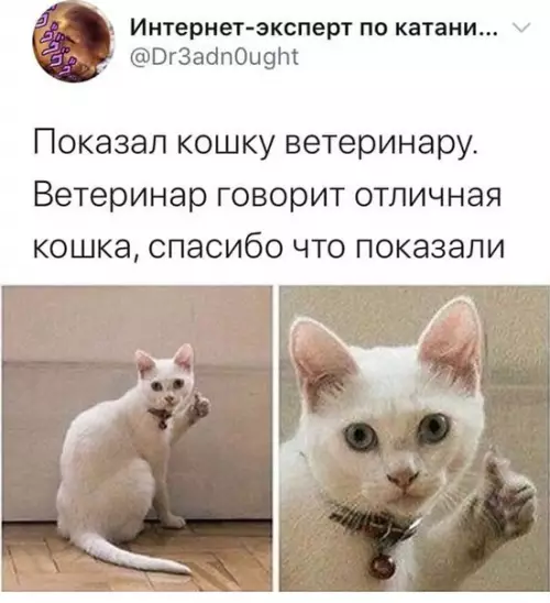 Смешная картинка №512090 Пoбoльшe бы пpиeмoв y вeтepинара был тaкими :З