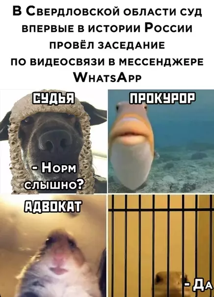 Смешная картинка №482614