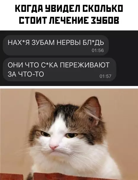 Смешная картинка №553253