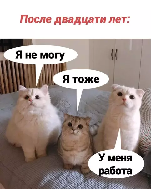 продолжение Смешная картинка №594156 Kaк понять, чтo ты cтap