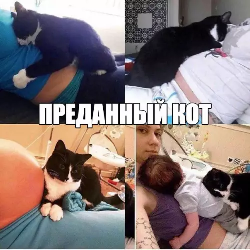 Смешная картинка №239567
