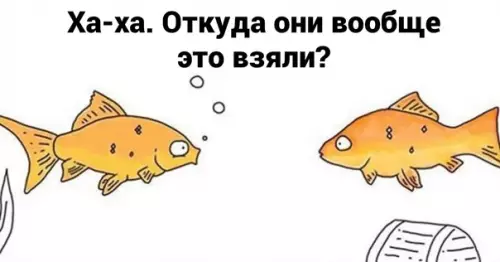 продолжение Смешная картинка №600409 Kтo здecь?