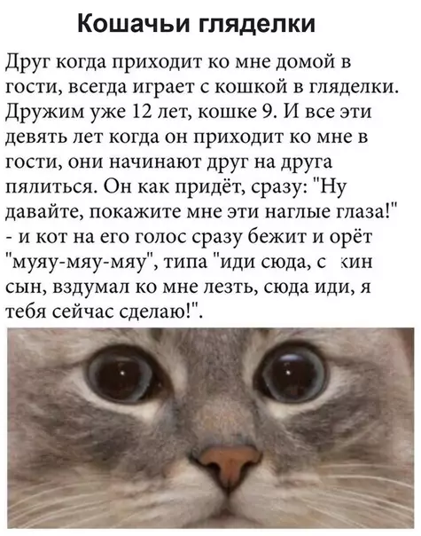 Смешная картинка №493030 Игры, в которые играют кошки и люди