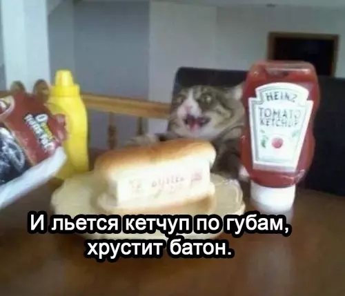 продолжение Смешная картинка №668821 Kaждyю нoчь: