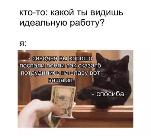 Работа мечты найдена! 😼💸 - кто-то: какой ты видишь идеальную работу? я: - сегодня вы