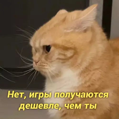 продолжение Смешная картинка №657641