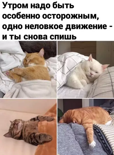 Смешная картинка №539500 Эта опасная ловушка