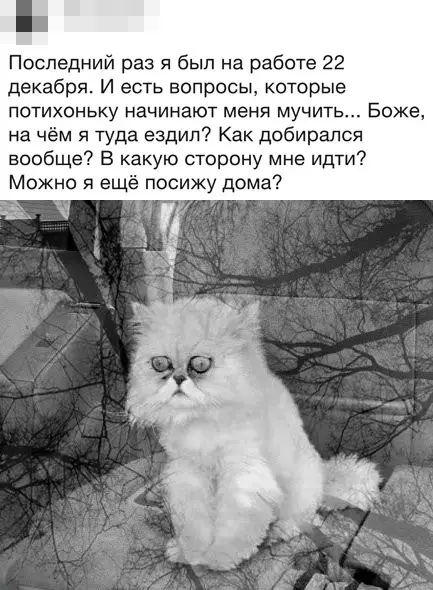 Смешная картинка №323735