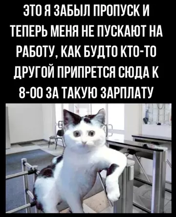 Смешная картинка №752024