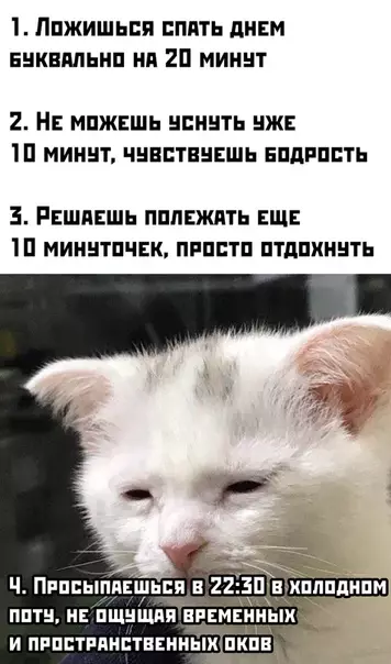 Смешная картинка №460801