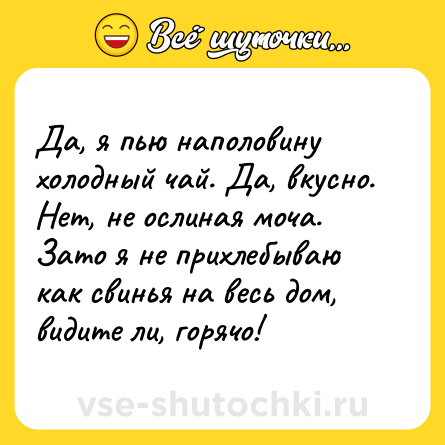 Шутка: Да, я пью наполовину холодный чай. Да, вкусно. Нет, не ослиная моча. Зато я не прихлебываю как свинья на весь дом, видите ли, горячо!