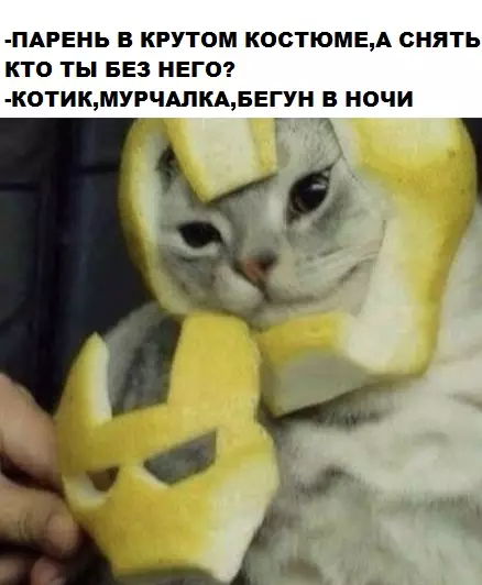 Смешная картинка №315422