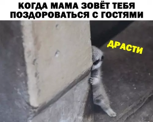 Смешная картинка №746064 Дратути дети