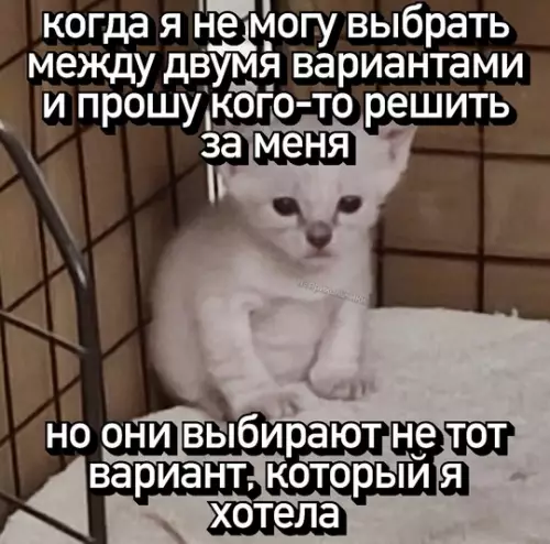 Смешная картинка №759258