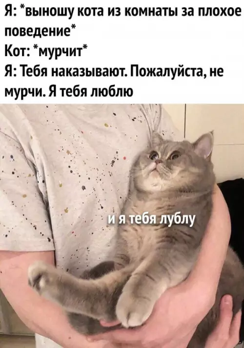 Смешная картинка №716535