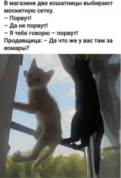 Смешная картинка №687264