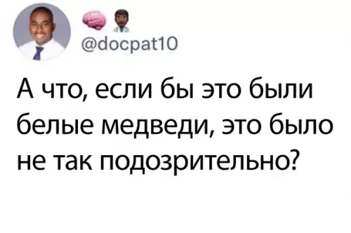 продолжение Смешная картинка №600153 Медведи, животные