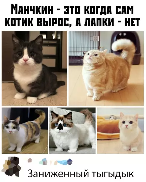 Смешная картинка №381347
