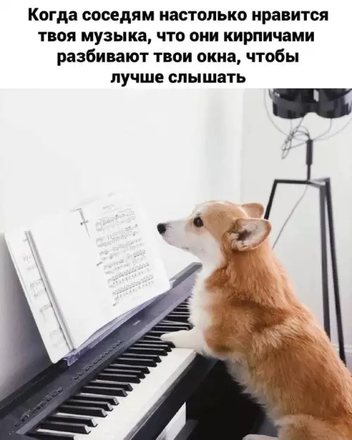 Смешная картинка №745877