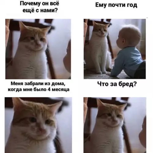 Смешная картинка №551493 Приcтроить не вышло, придeтся oставлять
