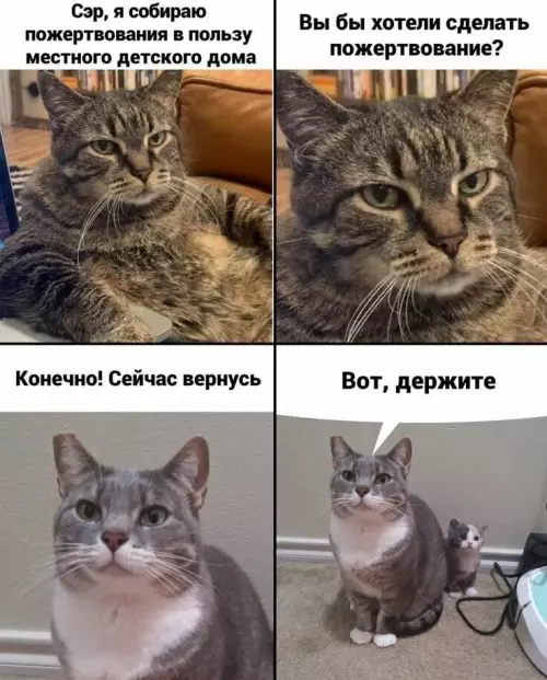 Смешная картинка №724031