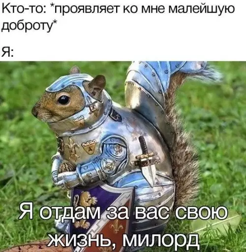 Смешная картинка №649153