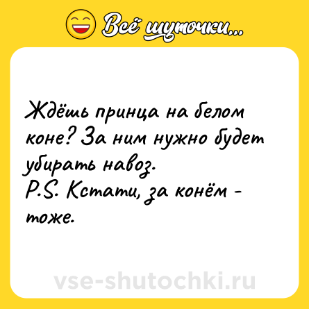 Шутка: Ждёшь принца на белом коне? За ним нужно будет убирать навоз.<br>P.S. Кстати, за конём - тоже.