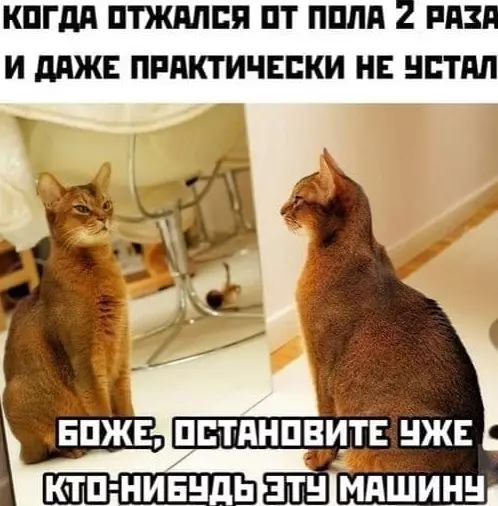 Смешная картинка №573530