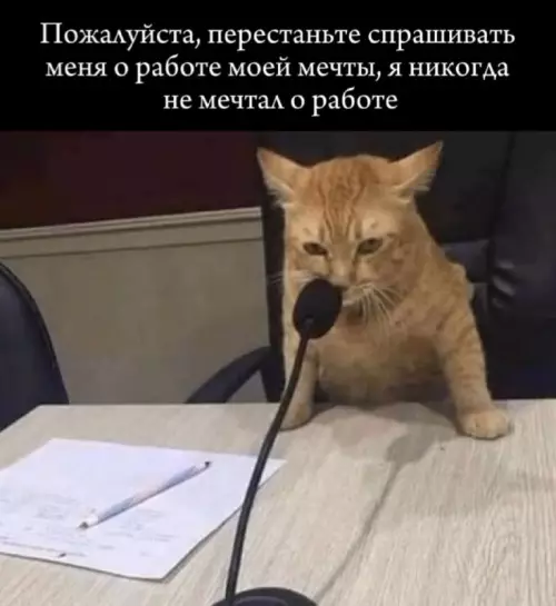 Смешная картинка №737975
