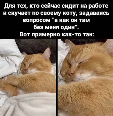 Смешная картинка №761112