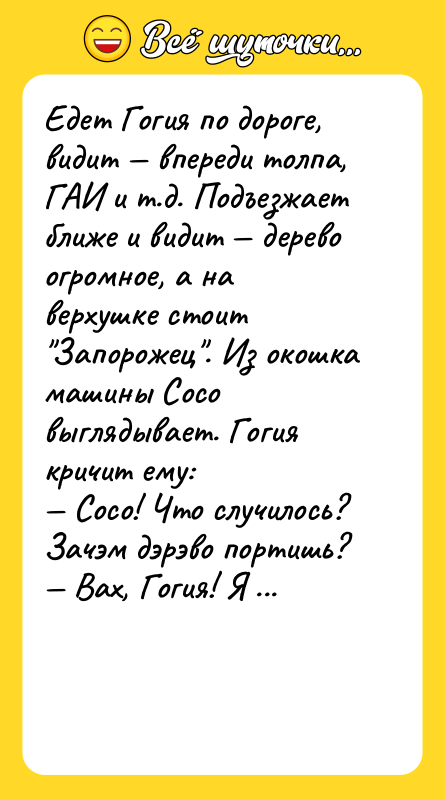 Едет Гогия по дороге, видит — впереди толпа, ГАИ и