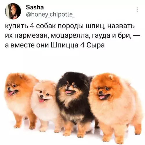 Смешная картинка №695474