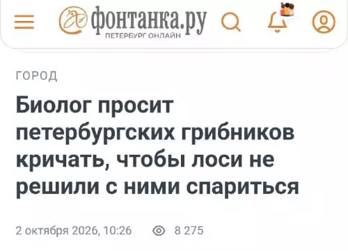 Осторожно, лоси хотят кексика! 🦌😂 - Биолог просит петербургских грибников кричать, чтобы лоси не решили с