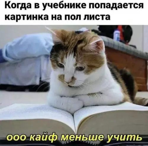 Смешная картинка №739176